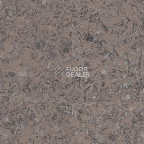 Линолеум Tarkett iq Megalit GRAPHITE BROWN 0621 фото 1 | FLOORDEALER